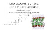 Cholesterol, Sulfate, and Heart Disease Stephanie Seneff Wise Traditions Workshop, London Feb 9, 2014.