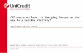CEE macro outlook: is Emerging Europe on the way to a healthy recovery? EEMEA Economics and FX/FI Strategy October 2009 Gyula Toth, EEMEA Economics and.