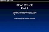 Blood Vessels Part 2 Slides by Barbara Heard and W. Rose. figures from Marieb & Hoehn 9 th eds. Portions copyright Pearson Education.