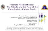 Prostate Needle Biopsy: The Pitfalls and the Role of the Pathologist – Patient Track Prostate Cancer Symposium “Intriguing Cases / Emerging Strategies.