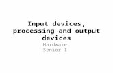 Input devices, processing and output devices Hardware Senior I.
