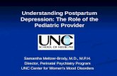 Understanding Postpartum Depression: The Role of the Pediatric Provider Samantha Meltzer-Brody, M.D., M.P.H. Director, Perinatal Psychiatry Program UNC.