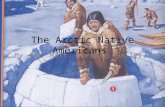The Arctic Native Americans By Joe, Matt, Areilla, Hailey, and Max,.
