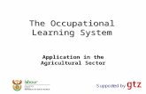 The Occupational Learning System Application in the Agricultural Sector.