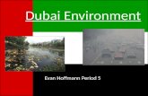 Evan Hoffmann Period 5.  Energy Use  Water Pollution  Air Pollution  Abu Dhabi  Tourism/Attractions.