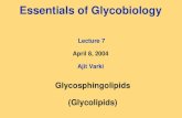 Essentials of Glycobiology Lecture 7 April 8, 2004 Ajit Varki Glycosphingolipids (Glycolipids)