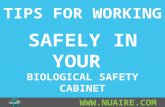 TIPS FOR WORKING SAFELY IN YOUR BIOLOGICAL SAFETY CABINET.