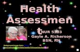 Health Assessment NUR 5303 Gayle A. Richerson BSN, RN Background image from:  .