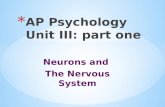 Neurons and The Nervous System.  Biological Psychology  branch of psychology concerned with the links between biology and behavior  some biological.