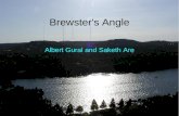 Brewster's Angle Albert Gural and Saketh Are. Definition of Brewster's Angle The angle of incidence at which light with a particular polarization is perfectly.