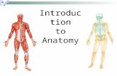 Introduction to Anatomy (a). The Greek philosopher, Aristotle, thought the heart, not the brain, was the location of intelligence and thought. The word.