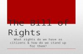 The Bill of Rights What rights do we have as citizens & how do we stand up for them?