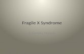 Fragile X Syndrome A Genetic Malady. Causes Mutations in the FMR1 gene FMR1 causes the production of a protein called fragile X Used to create synapses.