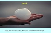 Large hail is not a killer, but does considerable damage Hail