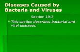 Diseases Caused by Bacteria and Viruses Section 19-3 Section 19-3  This section describes bacterial and viral diseases.