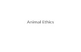 Animal Ethics. Create a list and brief explanation of 5 animal rights issues.