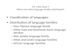 Ch. 5 Key Issue 3 Where are other language families distributed? Classification of languages Distribution of language families – Sino-Tibetan language.