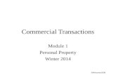 ©MNoonan2009 Commercial Transactions Module 1 Personal Property Winter 2014.