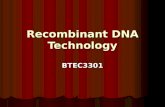 Recombinant DNA Technology BTEC3301. Recombinant DNA technology procedures by which DNA from different species can be isolated, cut and spliced together.