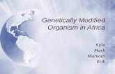 Genetically Modified Organism in Africa Kyle Mark Marwan Erik Kyle Mark Marwan Erik.