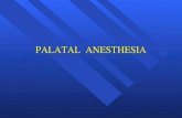 PALATAL ANESTHESIA. Greater Palatine Nerve Block Anterior Palatine Nerve Posterior portion of hard palate and overlying soft tissues Posterior portion.