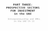 PART THREE: PROSPECTIVE SECTORS FOR INVESTMENT in the UAE Entrepreneurship and SMEs in the UAE Ch 13.