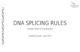 DNA SPLICING RULES STAYING TRUE TO THE BIOLOGY Elizabeth Goode April 2015.