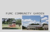 FUMC COMMUNITY GARDEN. Why ? Fundraiser for Food Pantry Opportunity for those who don’t have the real-estate or physical means to have a garden Promotes.