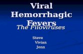 Viral Hemorrhagic Fevers The Filoviruses SteveVivianJenn.