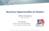 Business Opportunities in Mexico Business Opportunities in Mexico OSAC/CS Seminar July 12, 2011 Ann Bacher Senior Commercial Officer, U.S. Embassy, Mexico.