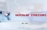 Revised 2/09 JBorrero VASCULAR STRESSORS NR 240. ANATOMY & PHYSIOLOGY ARTERIES – WALLS ARE THICKER DUE TO GREATER SMOOTH MUSCLE, HENCE STRONGER & CAN.