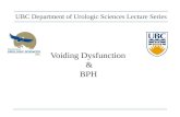 Voiding Dysfunction & BPH UBC Department of Urologic Sciences Lecture Series.