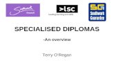 SPECIALISED DIPLOMAS -An overview Terry O’Regan. Enter Specialised Diplomas The qualification identified in the 14-19 Implementation Plan and based on.