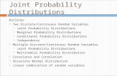 Joint Probability Distributions Outlines  Two Discrete/Continuous Random Variables  Joint Probability Distributions  Marginal Probability Distributions.