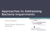 Approaches to Addressing Bacteria Impairments Kevin Wagner Texas Water Resources Institute.