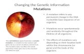 Changing the Genetic Information Mutations A mutation refers to any permanent change in the DNA nucleotide base sequence of an organism. Mutations occur.