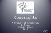 Copyrights A Product of Creativity in Bloom Elexis Jones 2011 A project of the AIPLA.