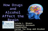 Sylvia L. Rivers Community Outreach Coordinator Center for Drug and Alcohol Programs How Drugs and Alcohol Affect the Brain.