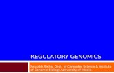 REGULATORY GENOMICS Saurabh Sinha, Dept. of Computer Science & Institute of Genomic Biology, University of Illinois.
