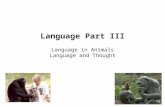 Language Part III Language in Animals Language and Thought.