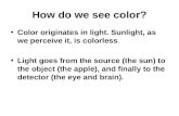 How do we see color? Color originates in light. Sunlight, as we perceive it, is colorless. Light goes from the source (the sun) to the object (the apple),