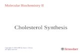 Cholesterol Synthesis Copyright © 1999-2008 by Joyce J. Diwan. All rights reserved. Molecular Biochemistry II.