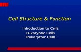 Cell Structure & Function Introduction to Cells Eukaryotic Cells Prokarytoic Cells.