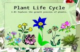 Plant Life Cycle 4.01 Explain the growth process of plants.