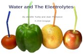 Water and The Electrolytes By Jennifer Turley and Joan Thompson © 2016 Cengage.