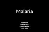Malaria Matt Dillon Patrick Keys Karsten Jepsen Allie Lyman.