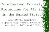 1 Intellectual Property Protection for Plants in the United States Anne Marie Grünberg Supervisory Patent Examiner Art Units 1661 and 1638.
