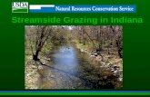 Streamside Grazing in Indiana. Indiana Streams: Are a precious natural resource Provide clean water for a variety of human uses as well as habitat for.