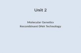 Unit 2 Molecular Genetics Recombinant DNA Technology.