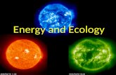 Energy and Ecology Ecosystem Components Producers – Basis of an ecosystem’s energy – Autotrophs: perform photosynthesis to make sugars – Chemotrophs: